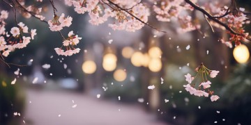愿你们都幸福快乐出自哪首歌？