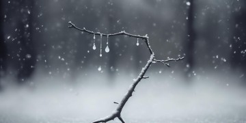 结局真的让人心痛到底是哪首歌？