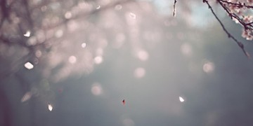 曾经忧伤唯一这句歌词出自哪首歌？