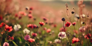 看不见春暖花开究竟是哪首歌？