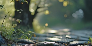 永远都在懦弱出自哪首歌？