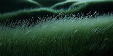 唱草原夜色美这首歌要注意什么？