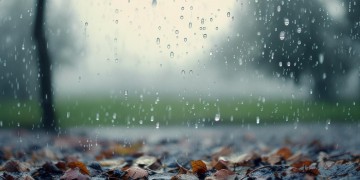 为何下雨冷风吹出自哪首歌？