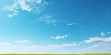 蓝天上的橄榄绿究竟是什么歌？