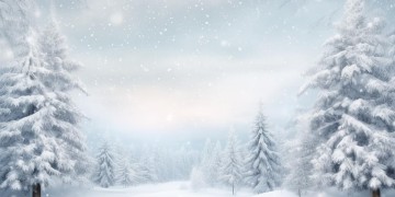你想陪谁看雪出自哪首歌？